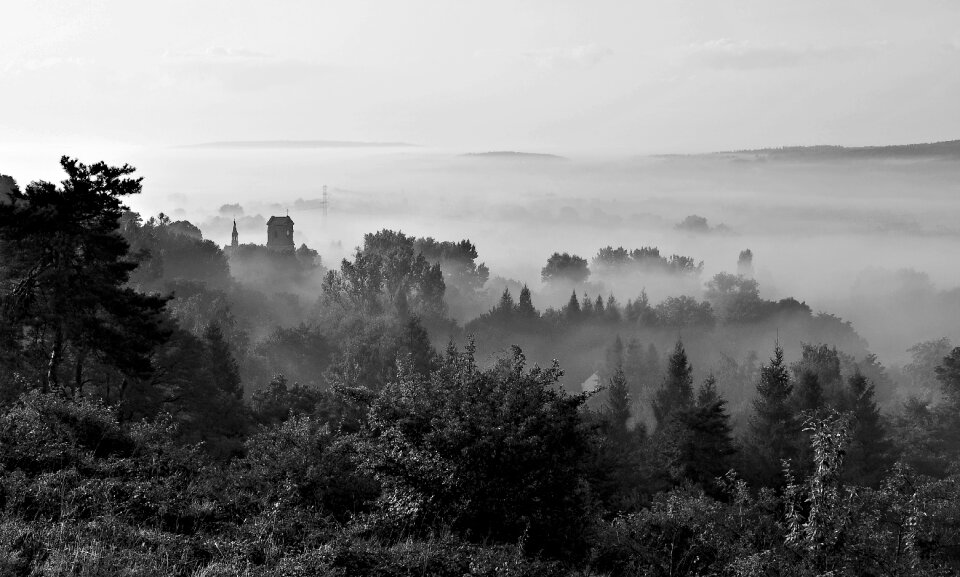 Landscape poland bolechowice