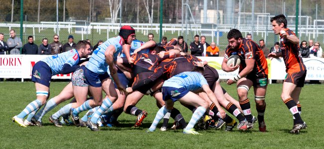 IMG_2955 