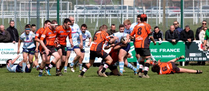 IMG_2768 