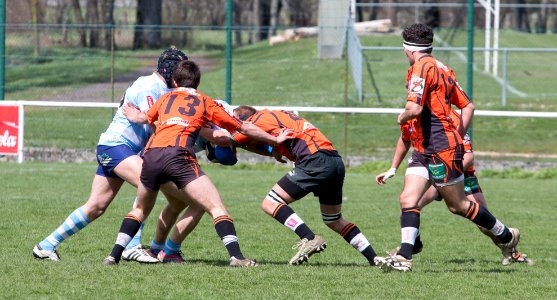 IMG_2543 