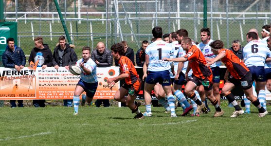 IMG_2471 