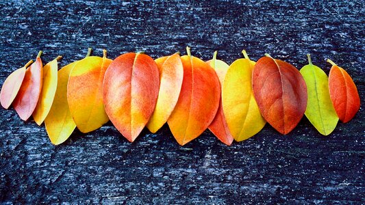 Colors october season