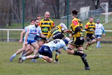 IMG_1335 