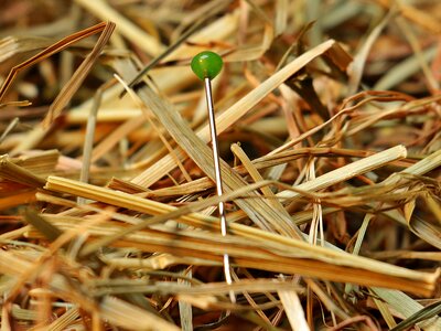 Love pin to find