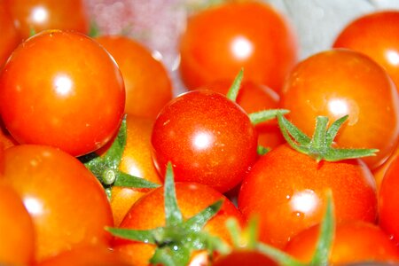 Food vegetarian trusses