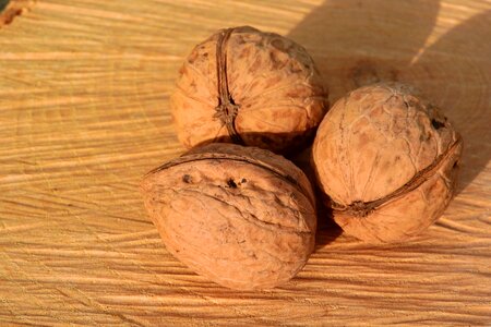 Walnuts shell walnut