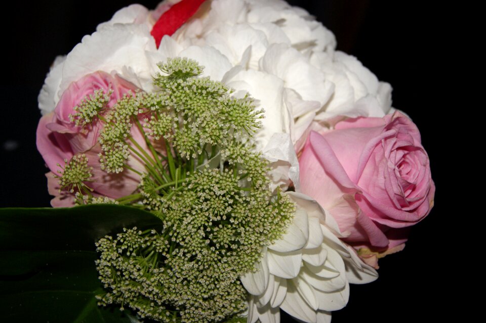 Flowers valentine's day mother's day