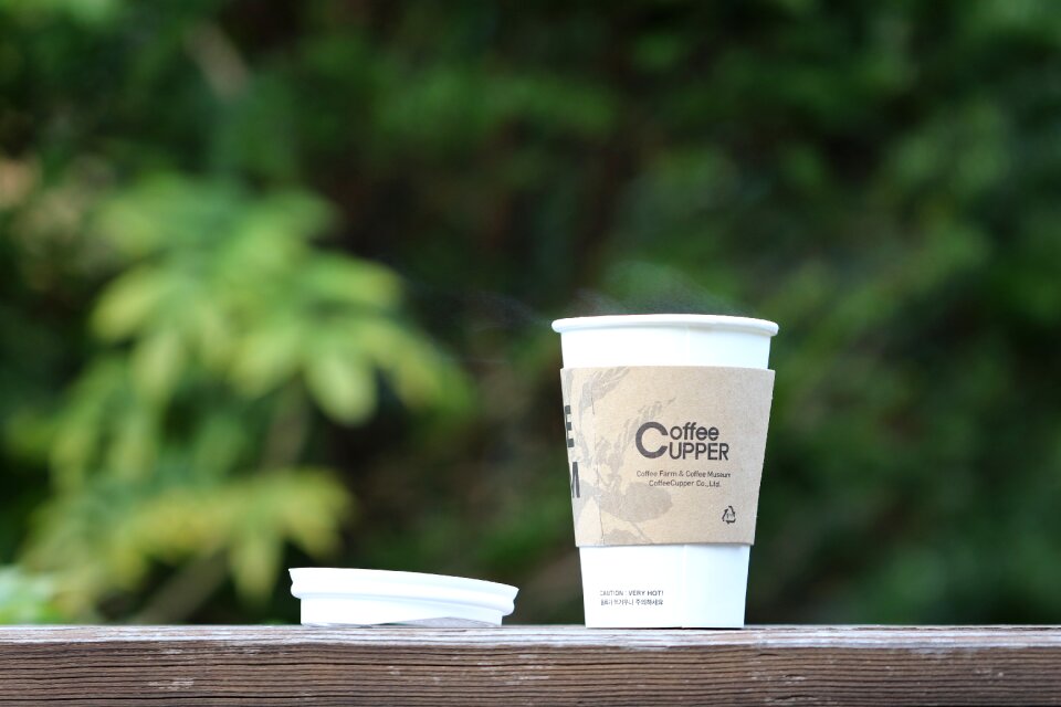 Paper cup break nature