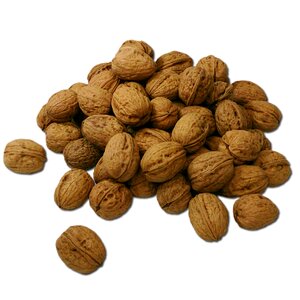 Walnuts nuts nut