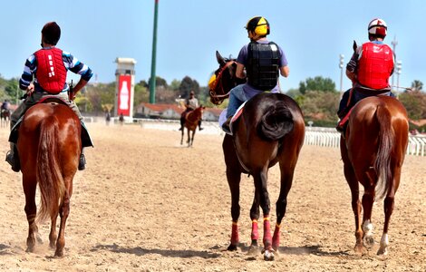 Thoroughbred jockey racehorse photo