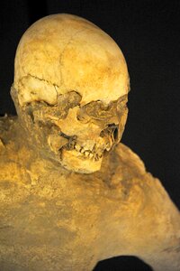 Roman italy archaeological