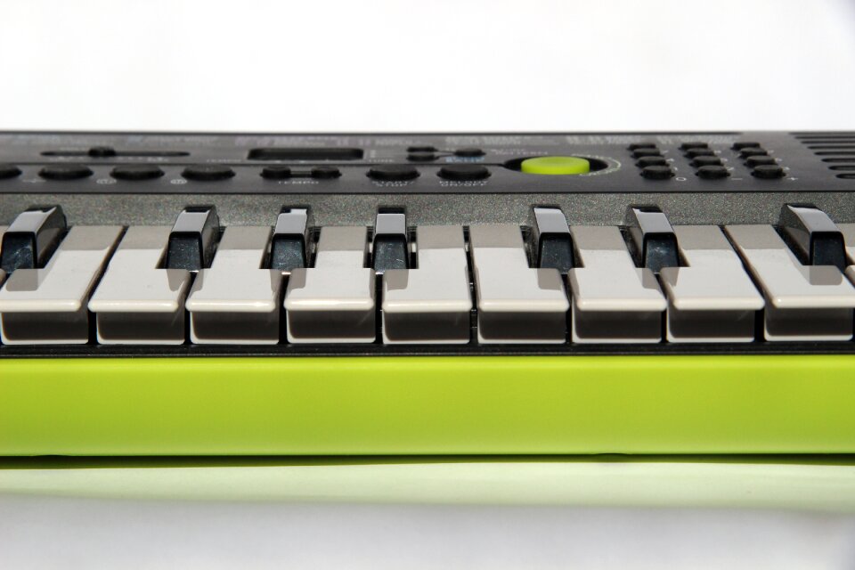 Piano musical instrument fun