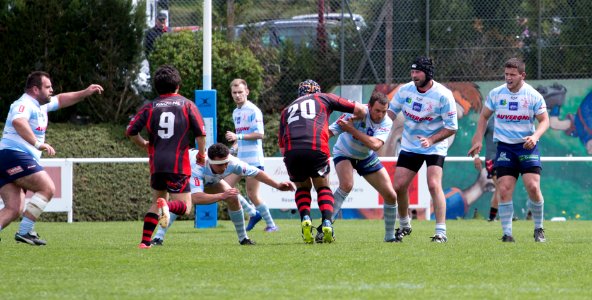 IMG_3552 