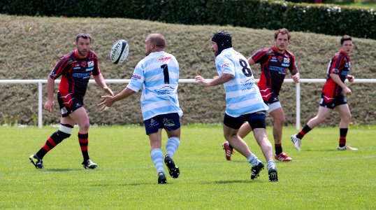 IMG_3290 