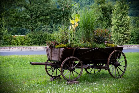 Wagon horse drawn carriage old photo