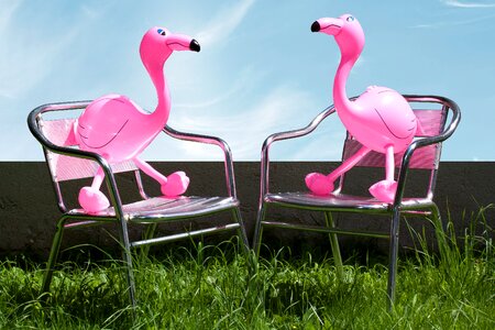 Romantic lovers garden