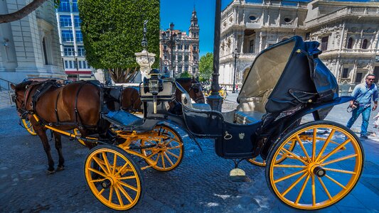 Buggy andalusia seville