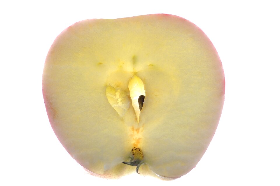 Fruit close up kernobstgewaechs