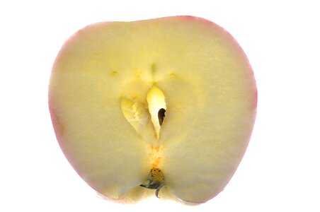 Fruit close up kernobstgewaechs