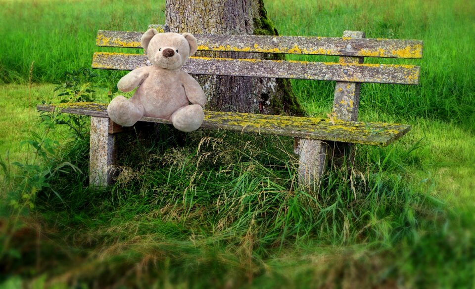 Park bench lonely forget