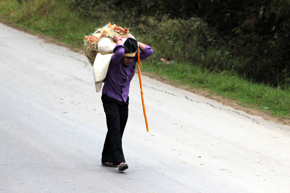 Field workers people