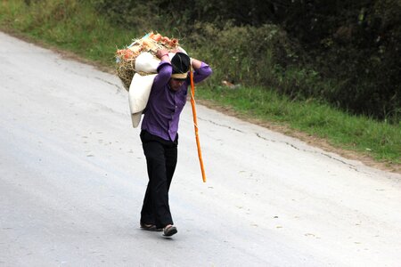 Field workers people