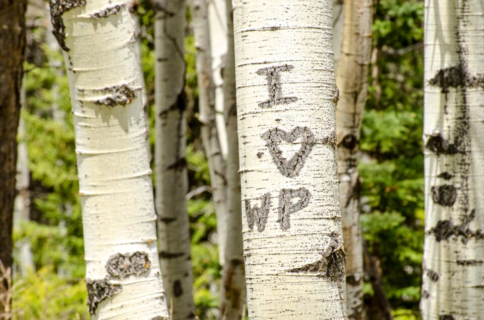 Initials love heart