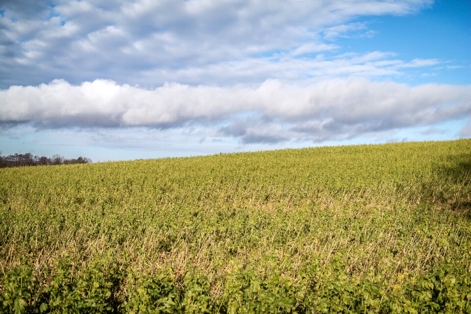 Sky agriculture landscape