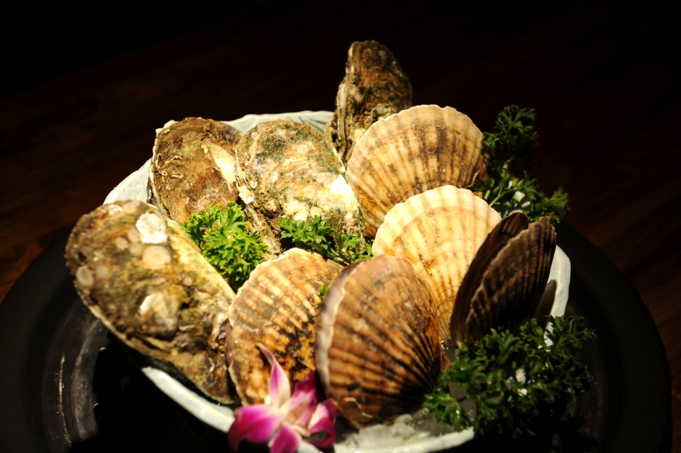 Scallop platter scallop platter 1 scallop platter 2