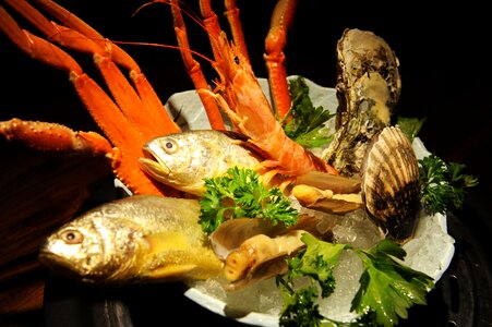 East china sea yellow croaker platter 1 east china sea yellow croaker platter east china sea yellow croaker platter 2