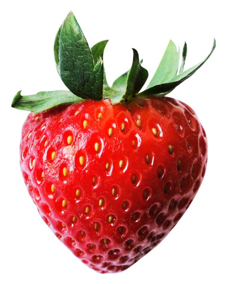 Food delicious sweet
