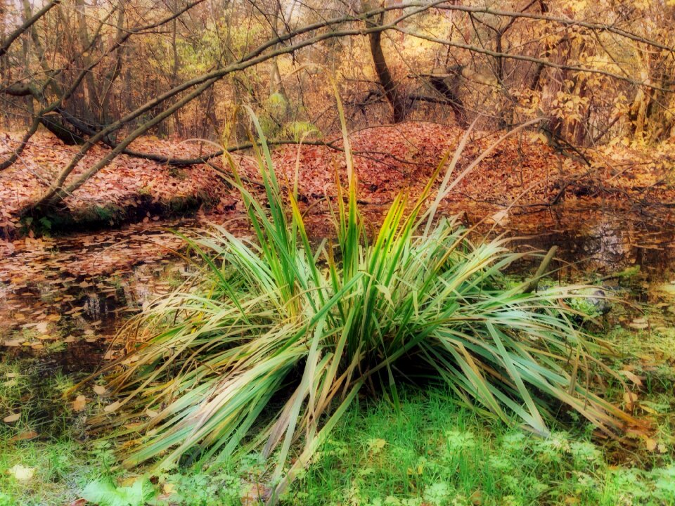 The environment nature relaxation