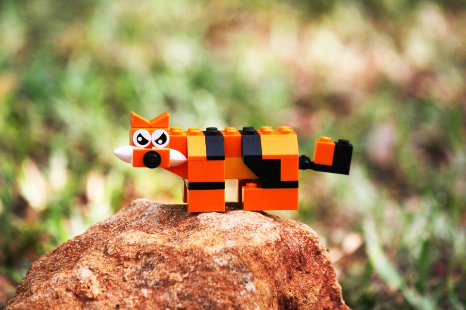 Cute cat cartoon