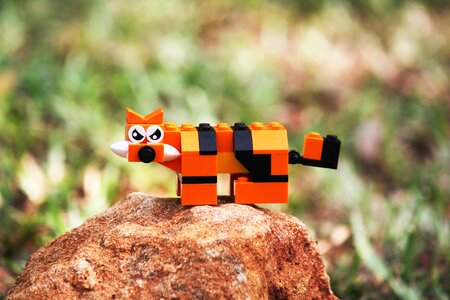 Cute cat cartoon