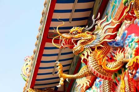 Roof asia palace