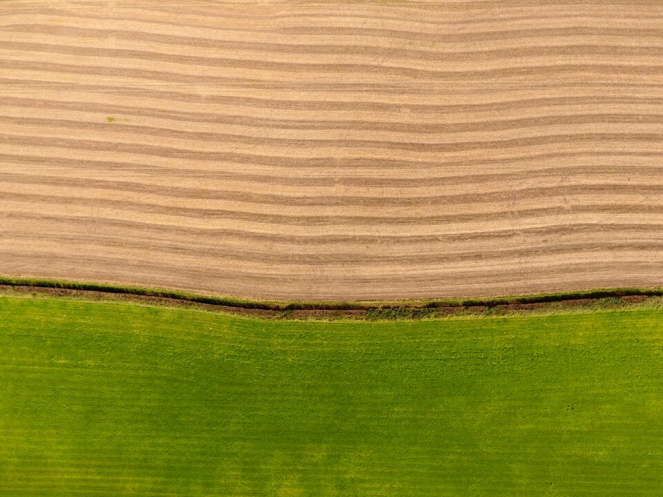 Nature rural farm