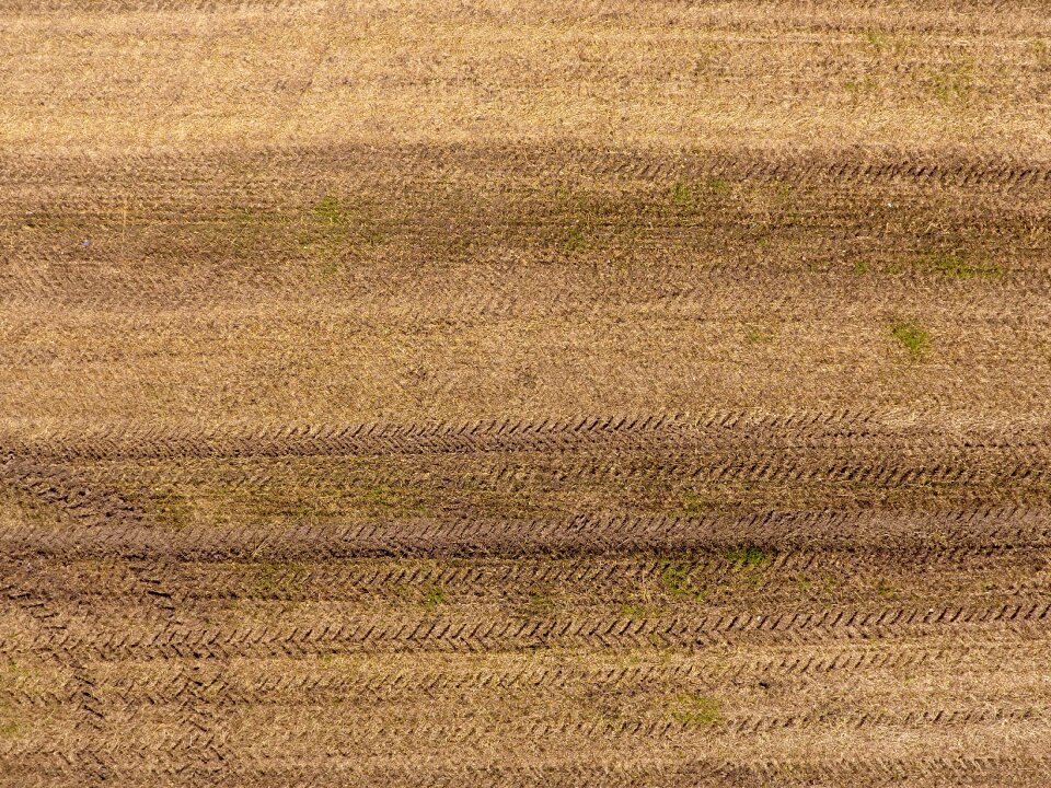 Nature rural farm