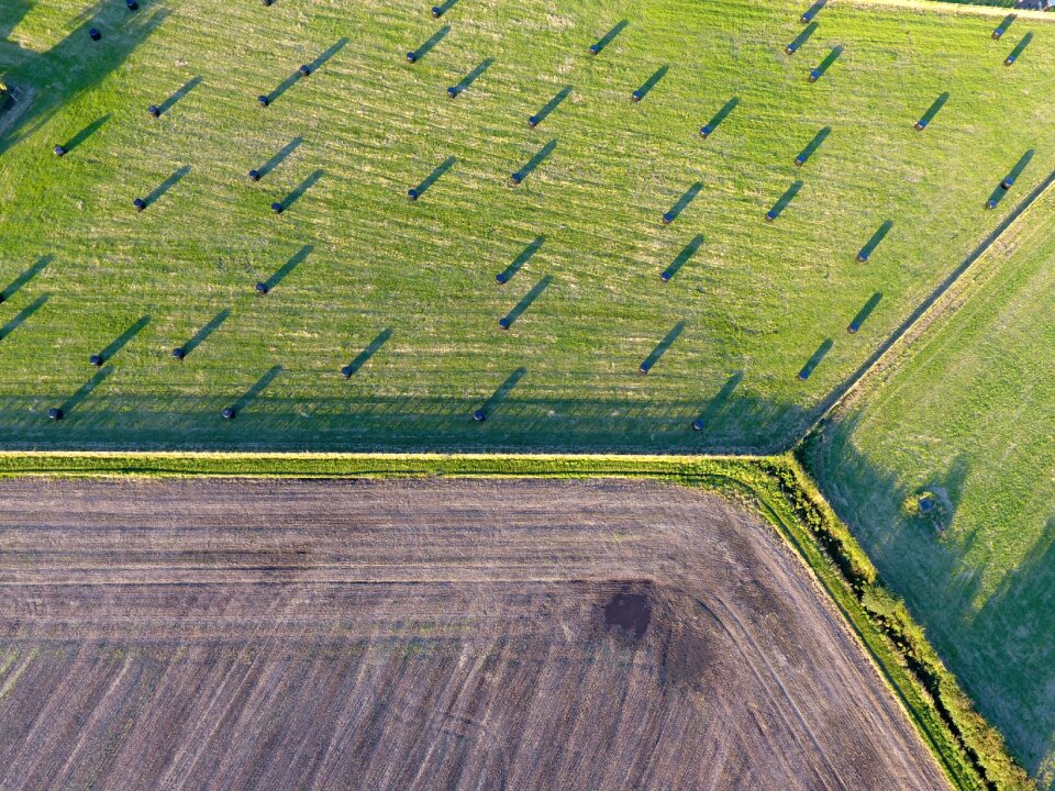 Rural nature landscape