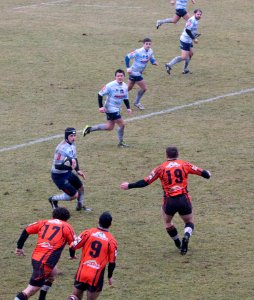 IMG_6879 