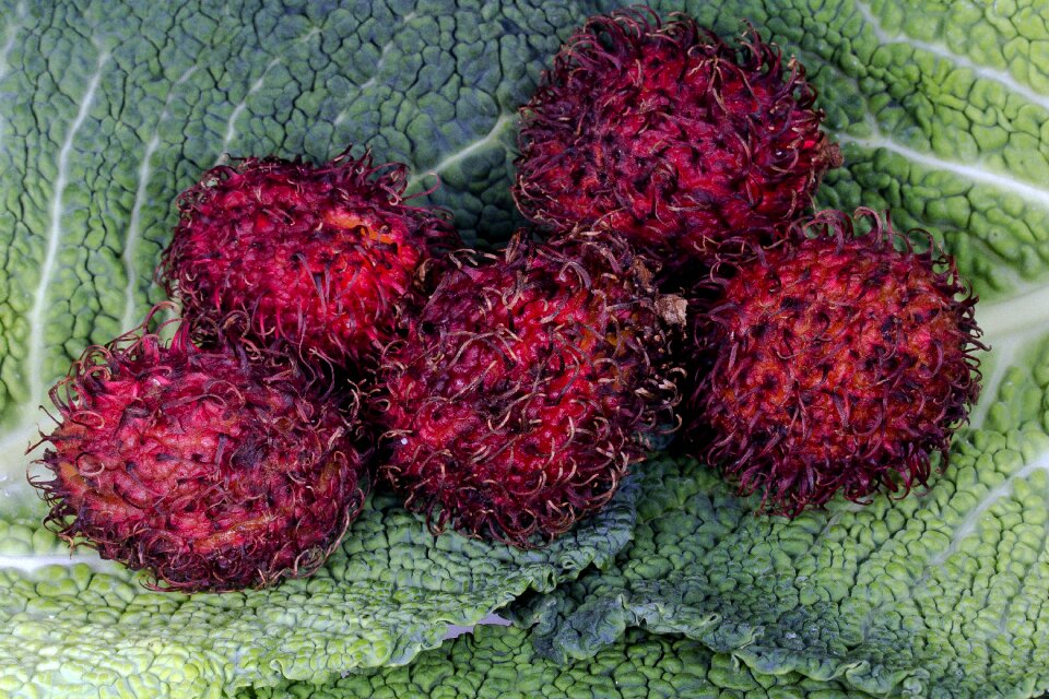 Nephelium lappaceum fruit exotic fruits