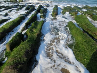 Sence sea coastal