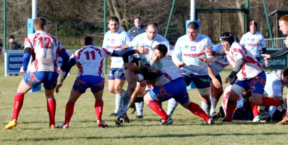 IMG_2533 