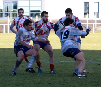 IMG_2384 