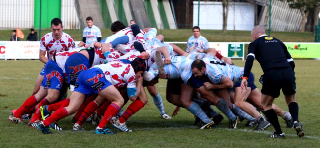 IMG_1984 