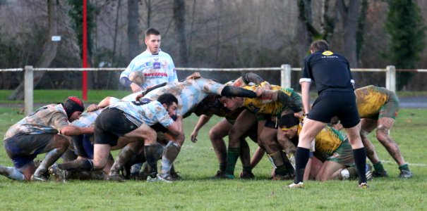 IMG_1778 