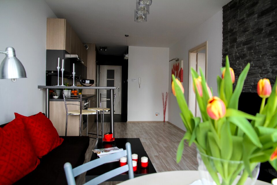 Residential interior interior design decoration