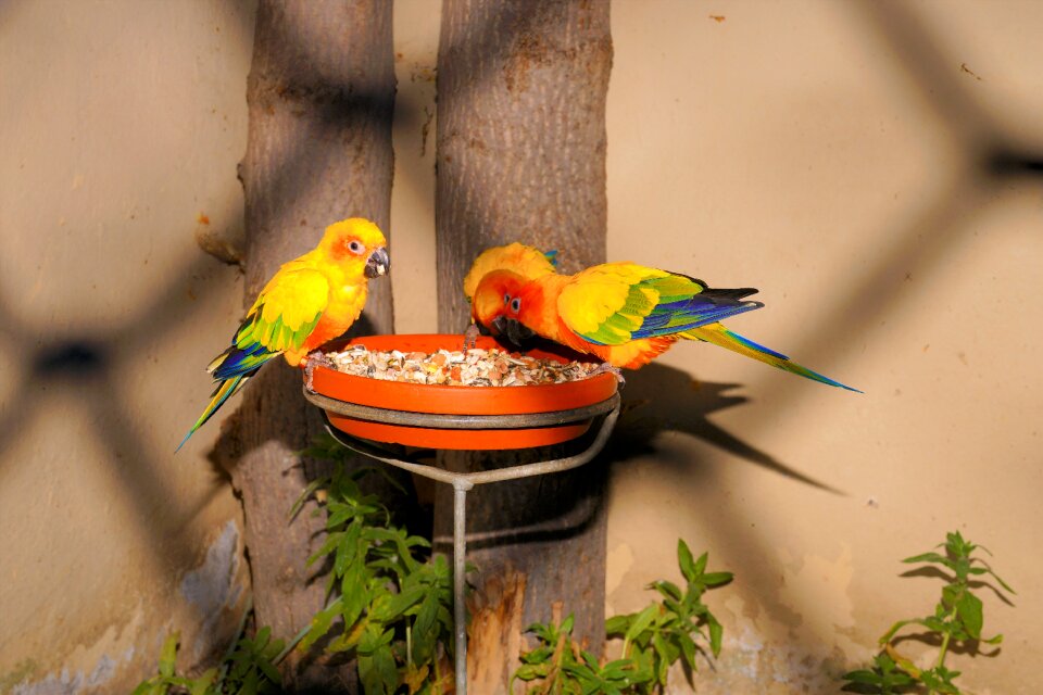 Colorful beautiful color