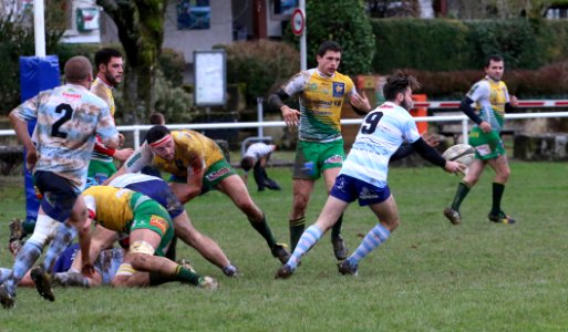 IMG_1412 