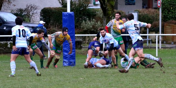 IMG_1342 