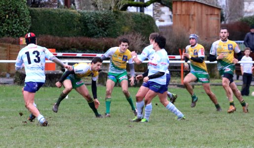 IMG_1340 